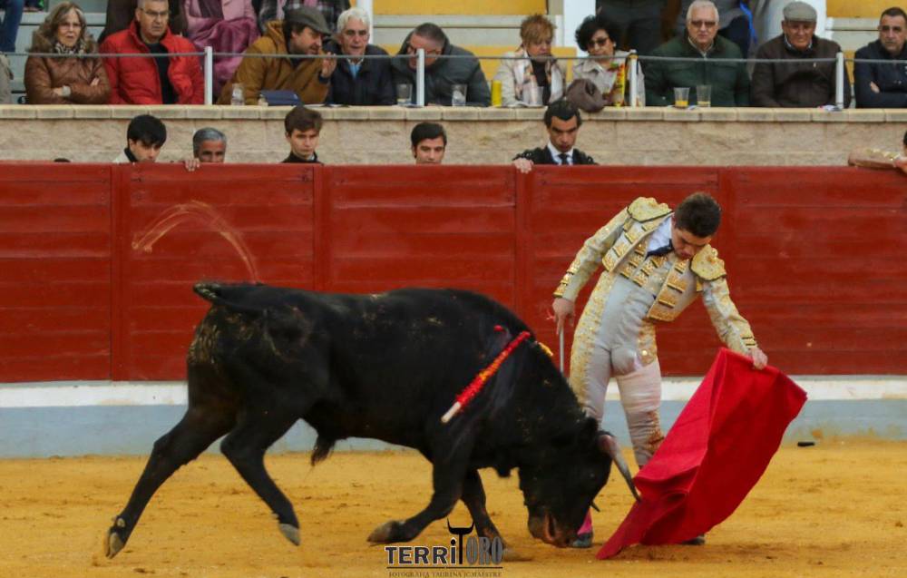 Imagen 1