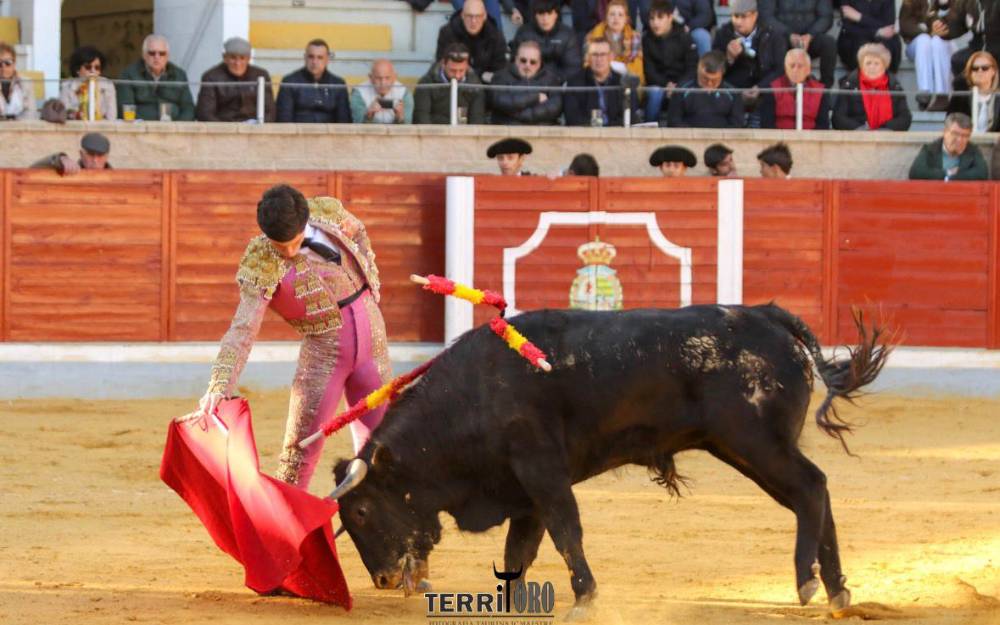 Imagen 2