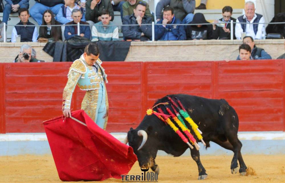 Imagen 5
