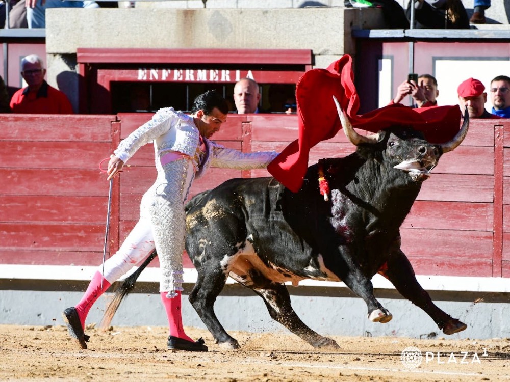 Imagen 2