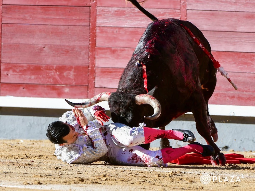 Imagen 3
