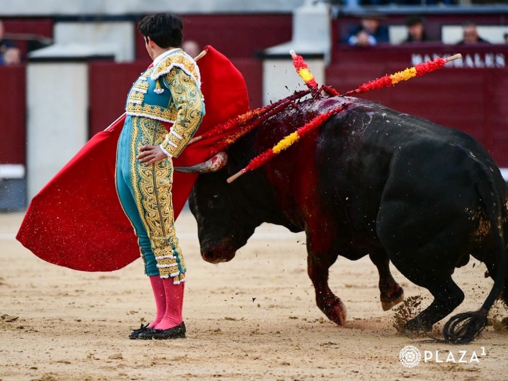 Imagen 4