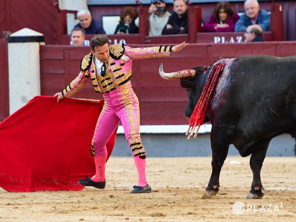 Imagen 5