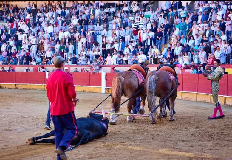 Imagen 7