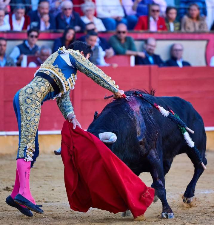 Imagen 8