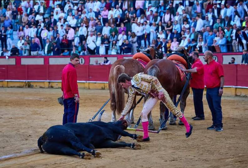 Imagen 9