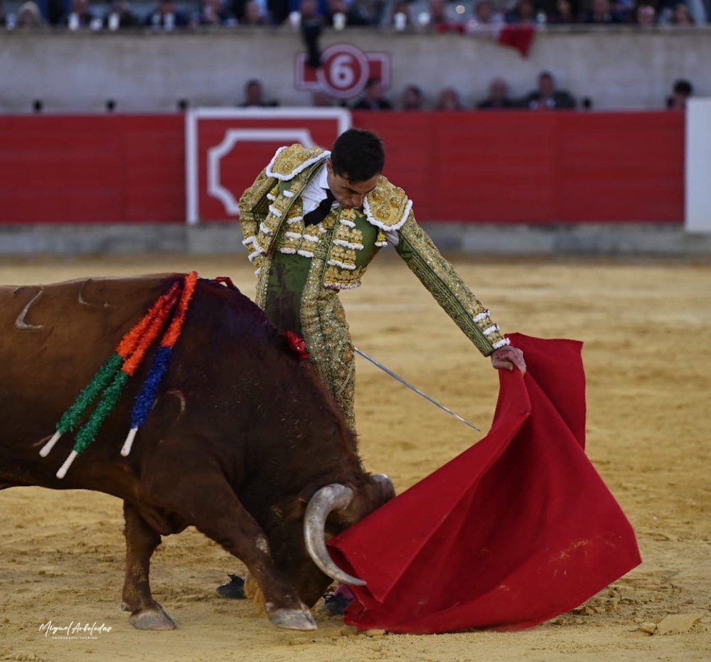 Imagen 1