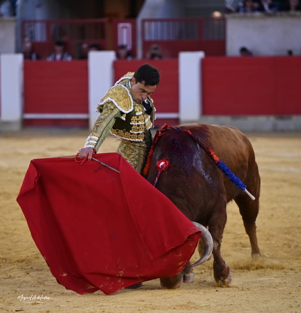 Imagen 2