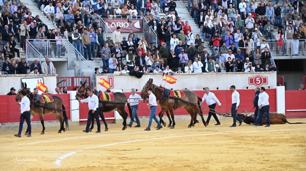 Imagen 3