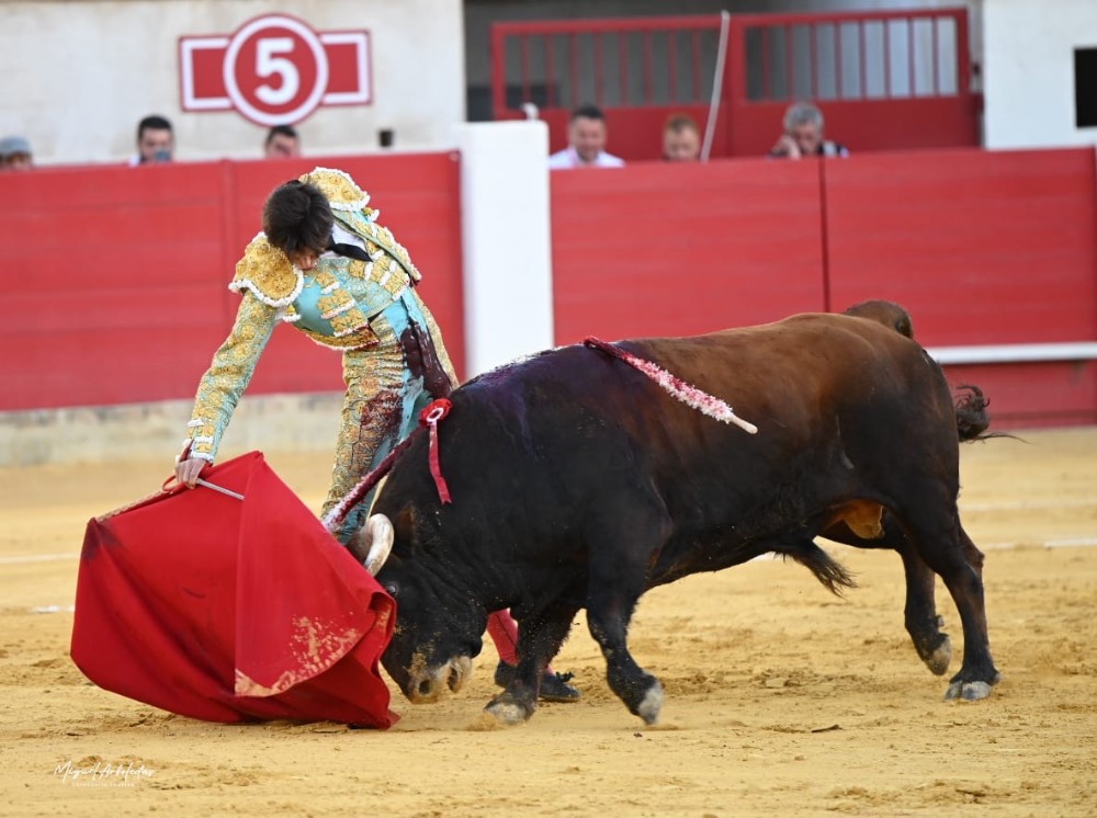 Imagen 4