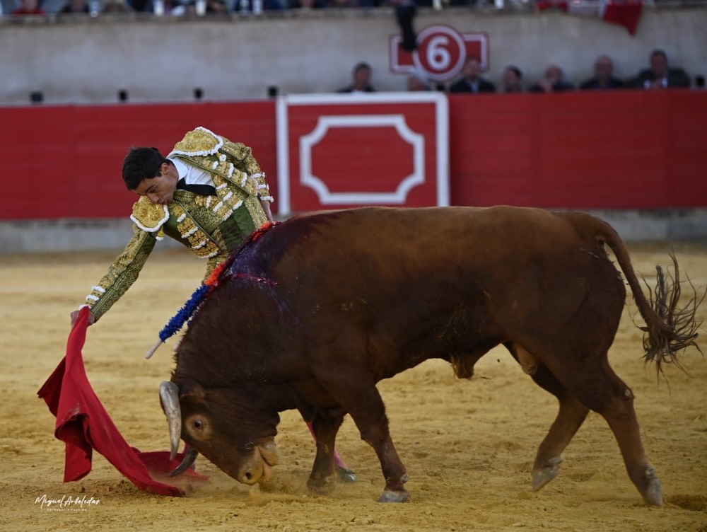 Imagen 5