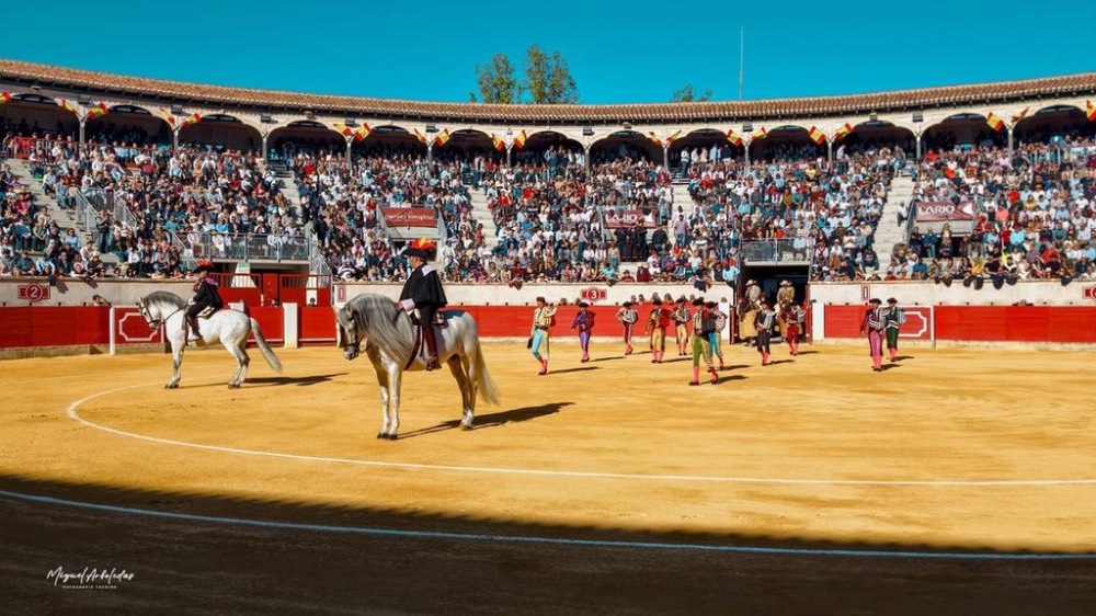 Imagen 8