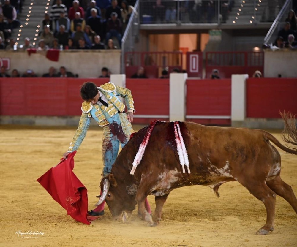 Imagen 9