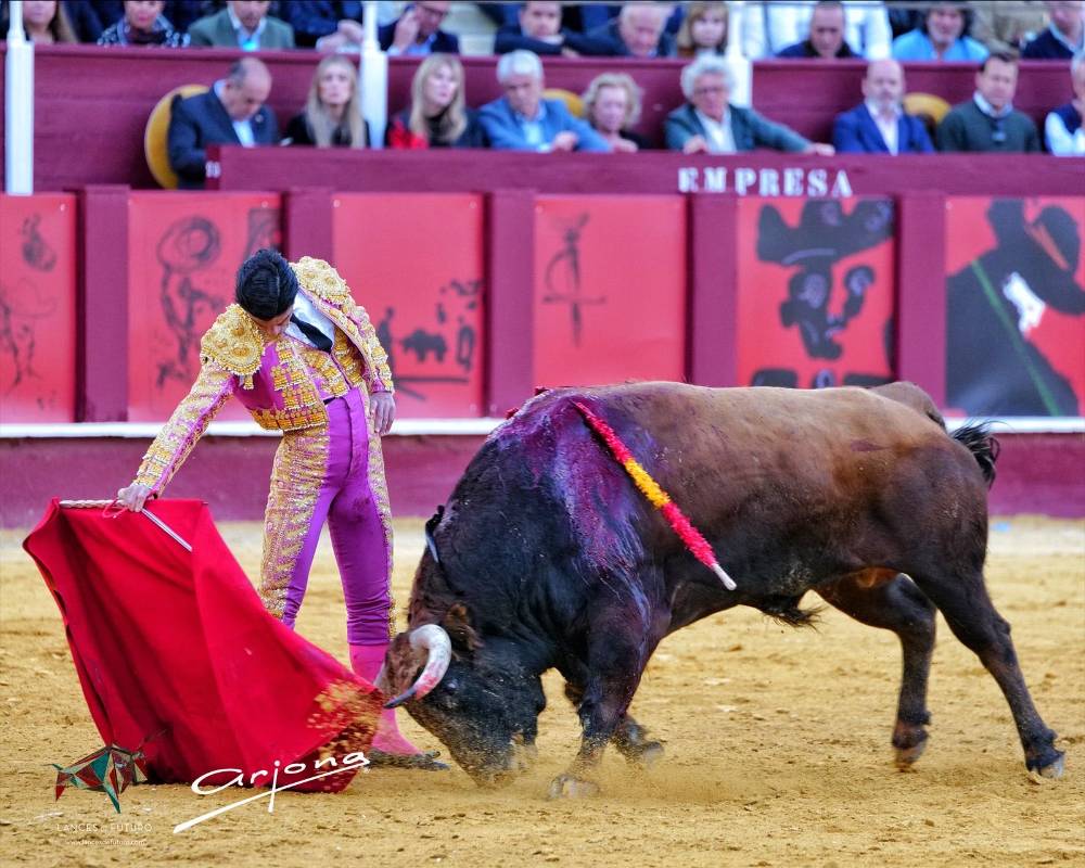 Imagen 1
