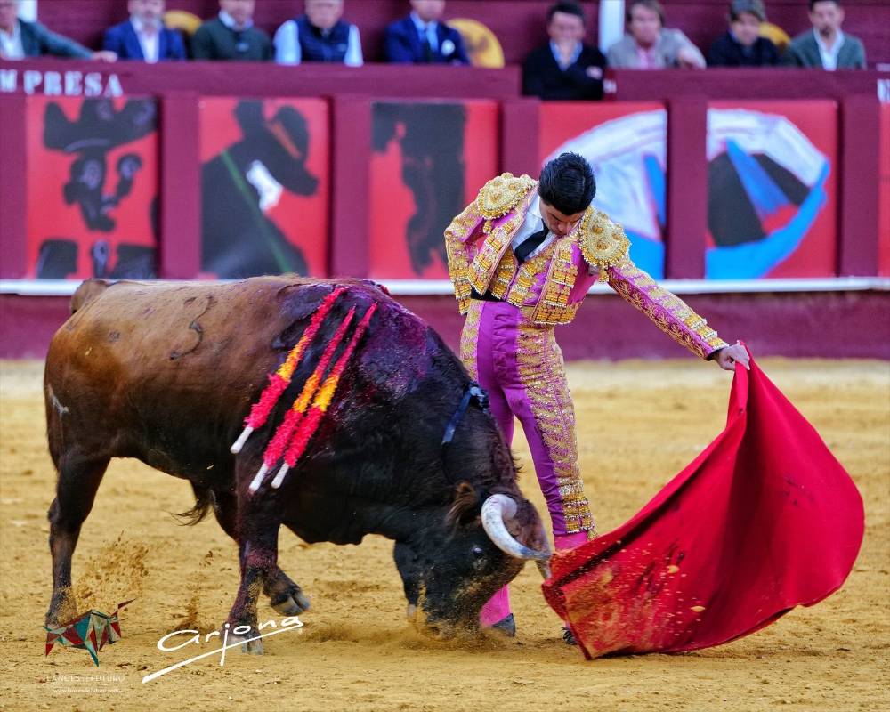 Imagen 2
