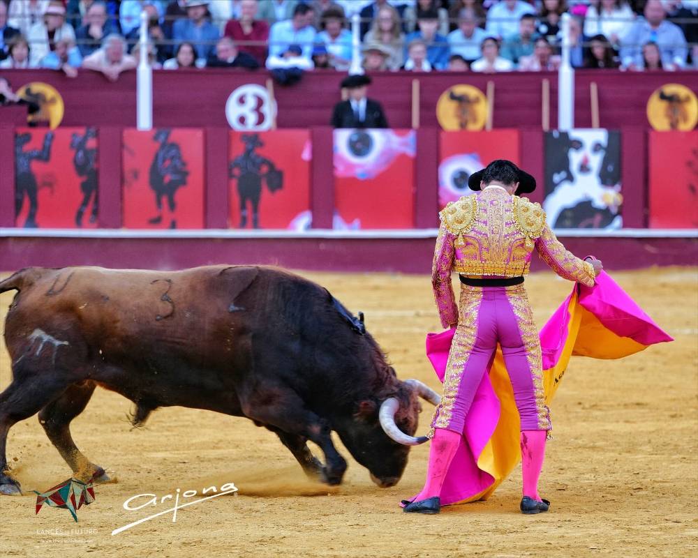 Imagen 3