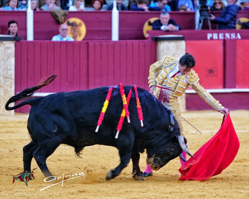 Imagen 5