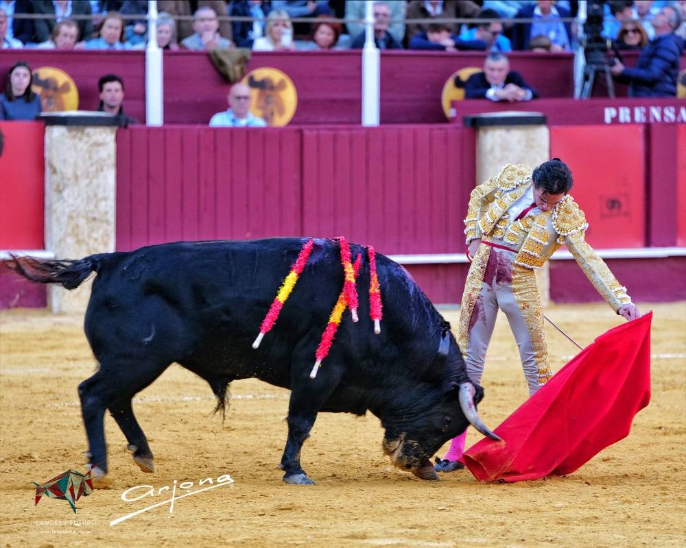 Imagen 6