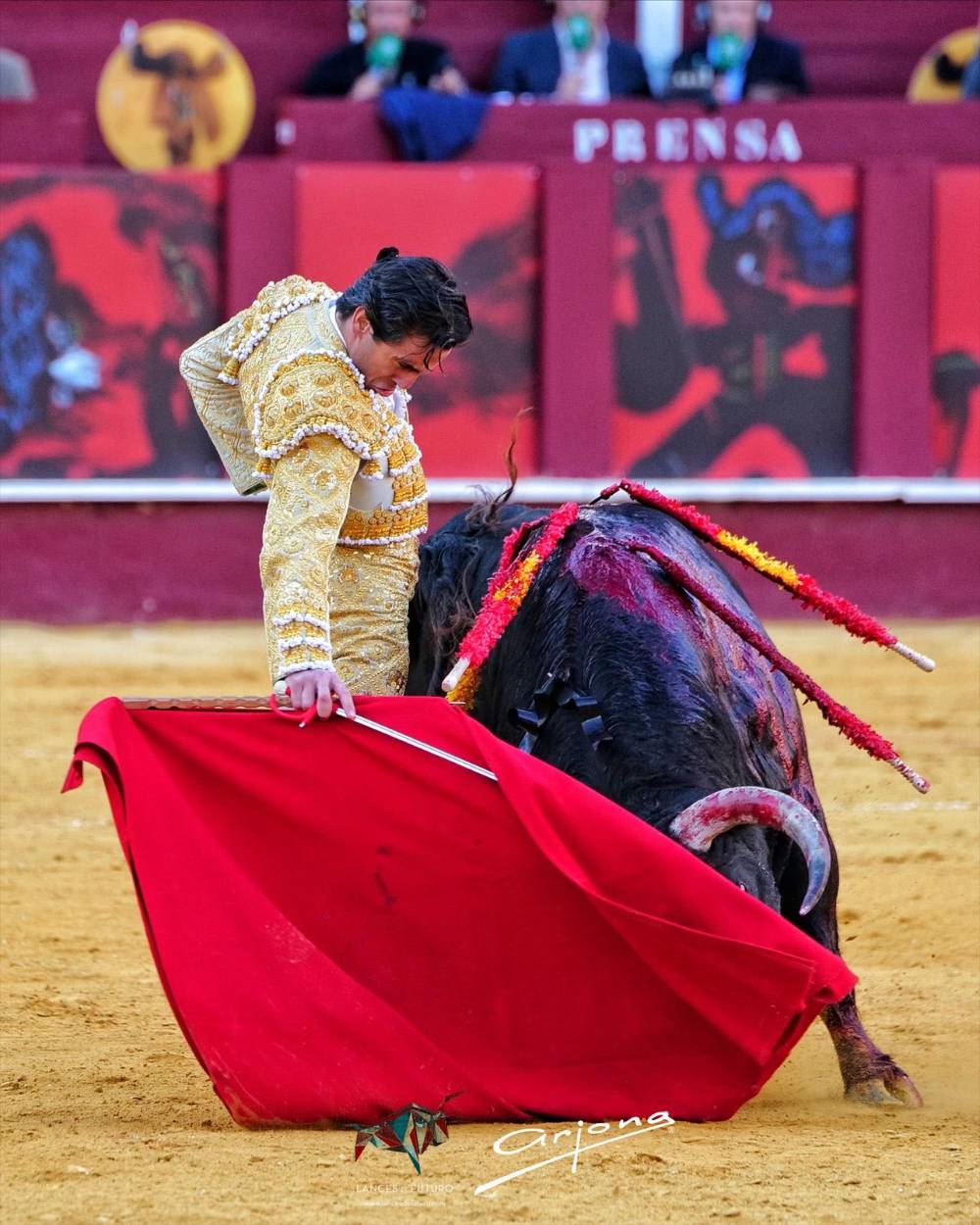 Imagen 7