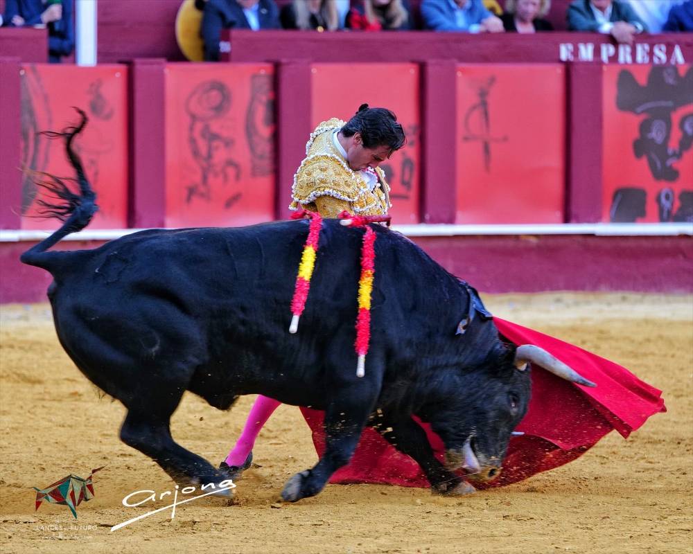 Imagen 8