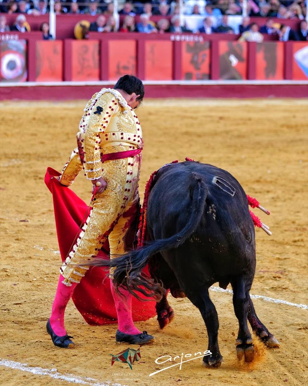 Imagen 10