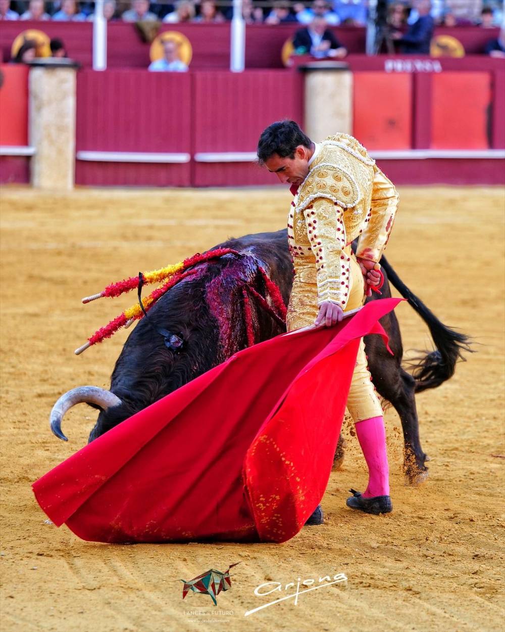 Imagen 11