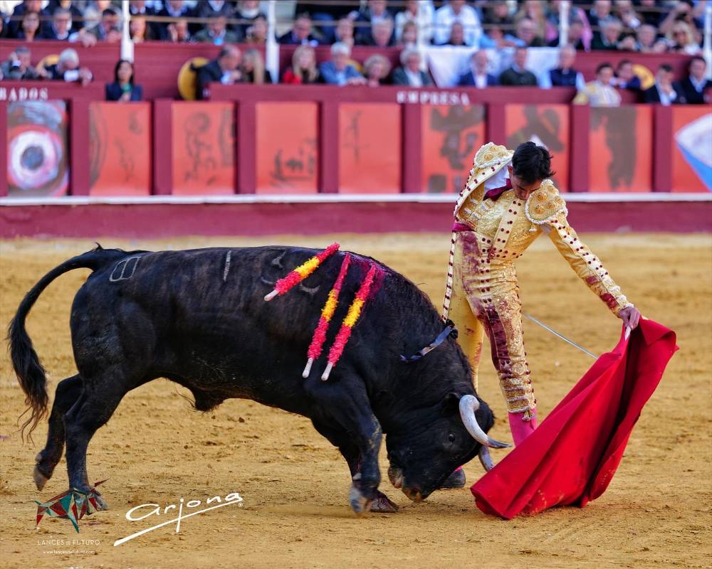 Imagen 12