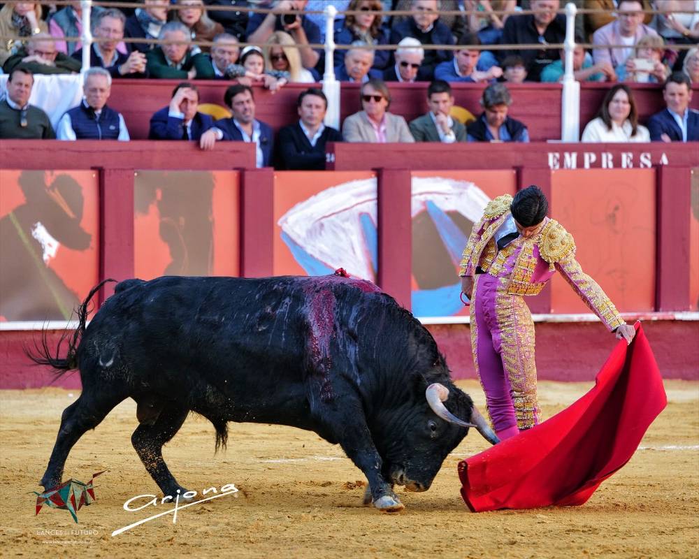 Imagen 14