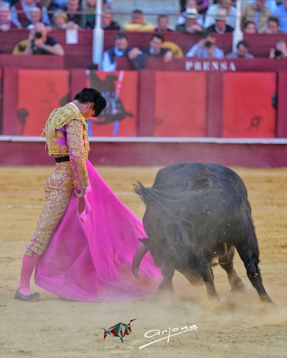 Imagen 15