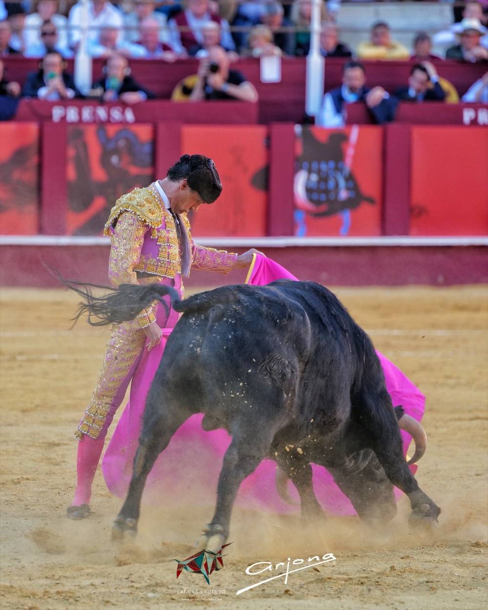 Imagen 16