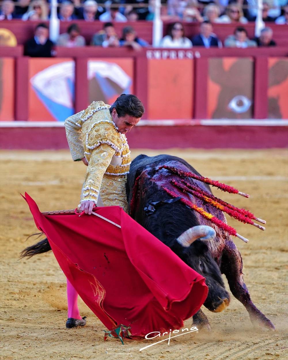 Imagen 17