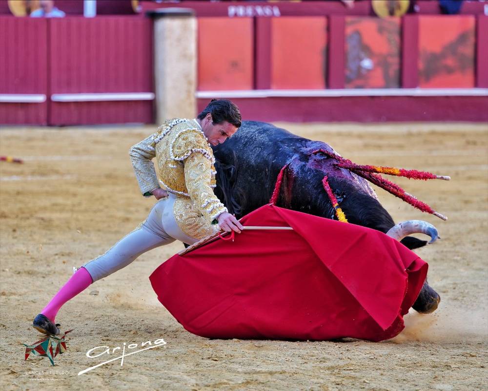 Imagen 19