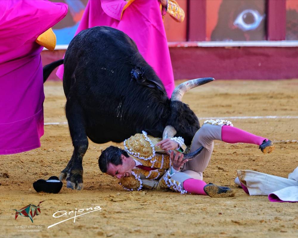 Imagen 20