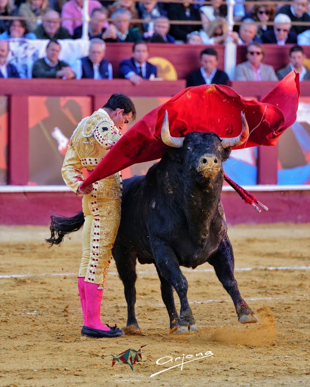 Imagen 26