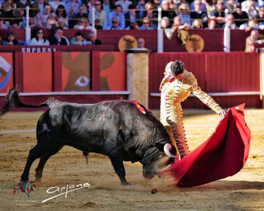 Imagen 27