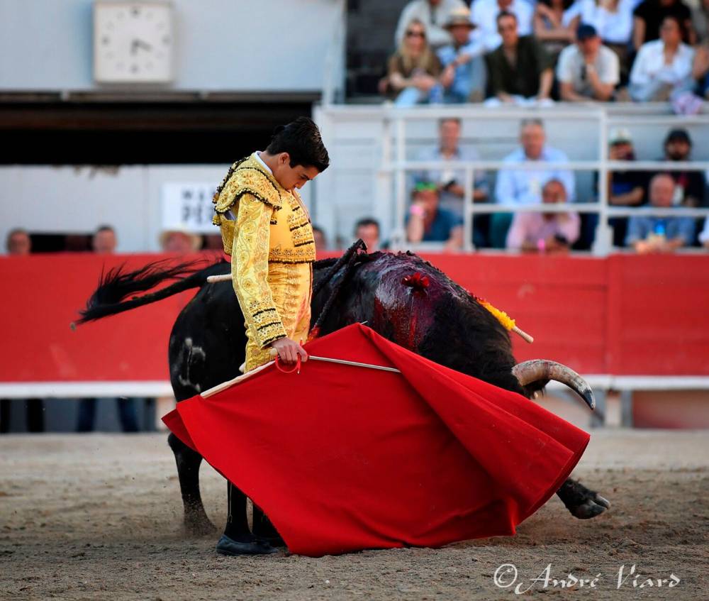 Imagen 2