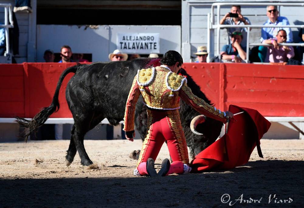 Imagen 3