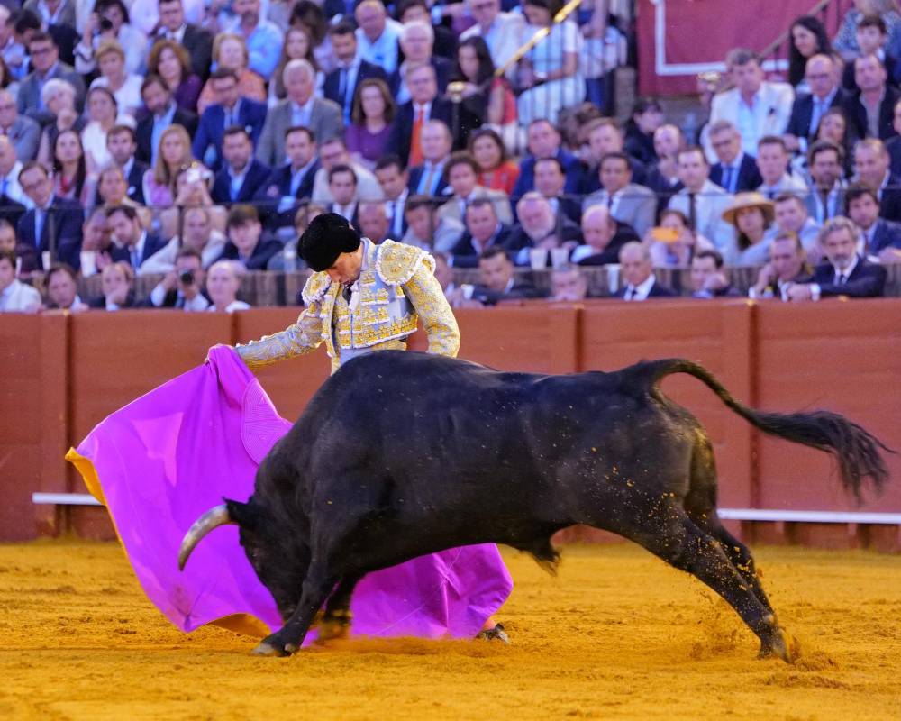 Imagen 6