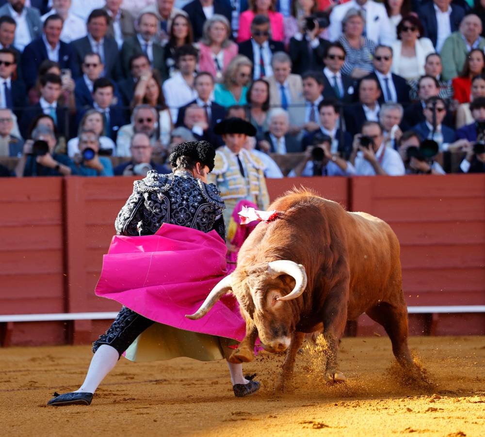 Imagen 8