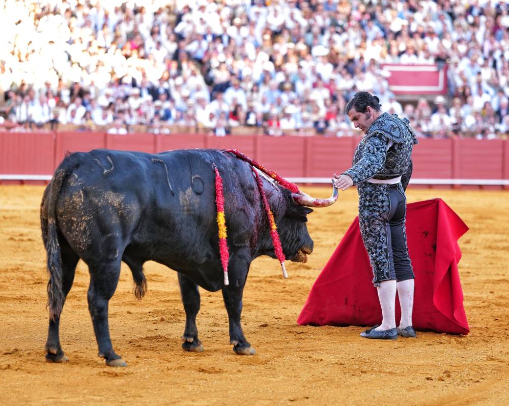 Imagen 12