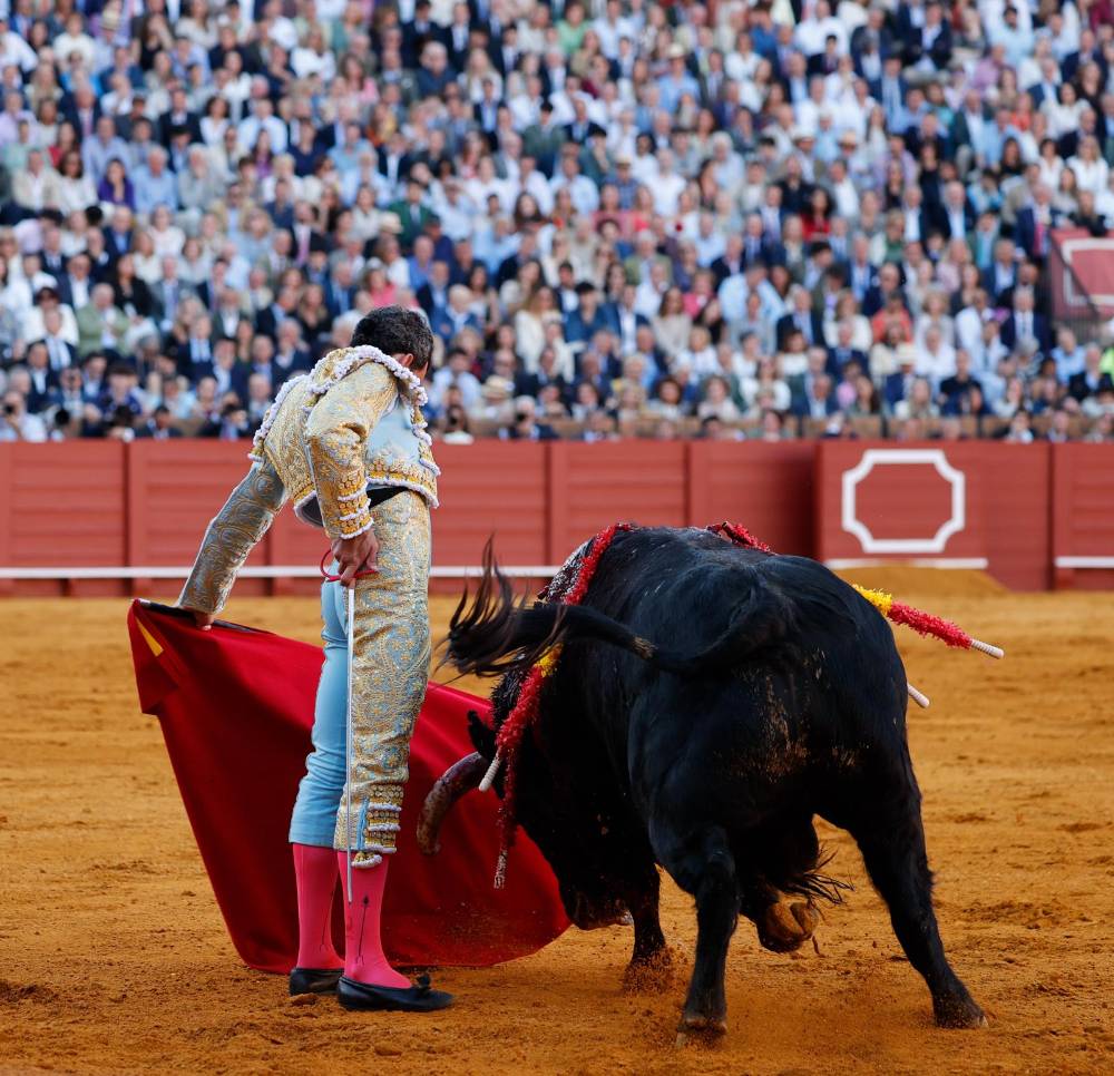 Imagen 13