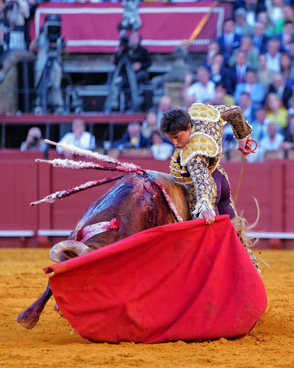 Imagen 16