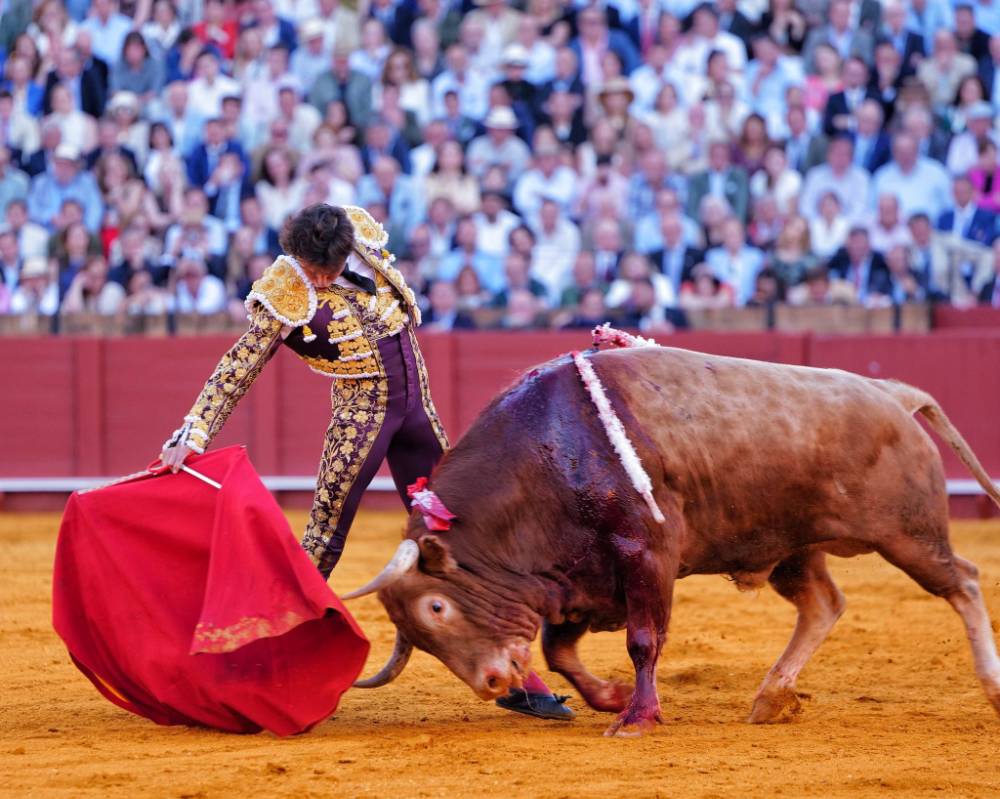 Imagen 17