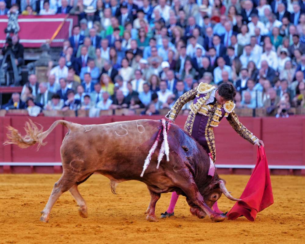 Imagen 18
