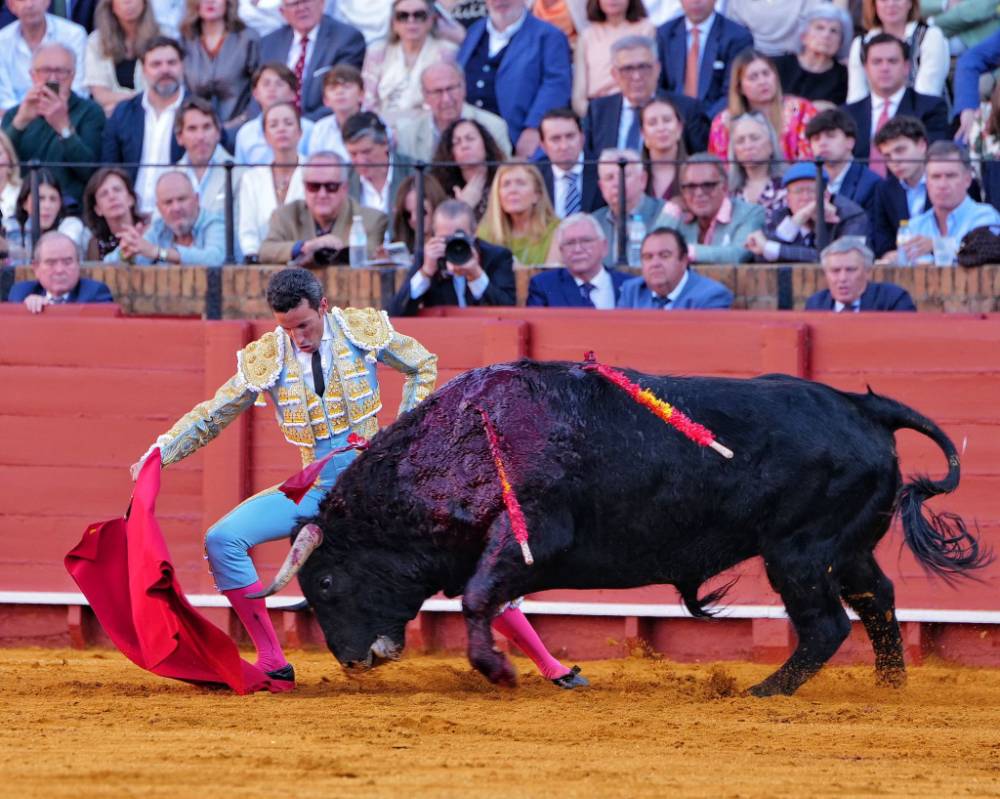 Imagen 25