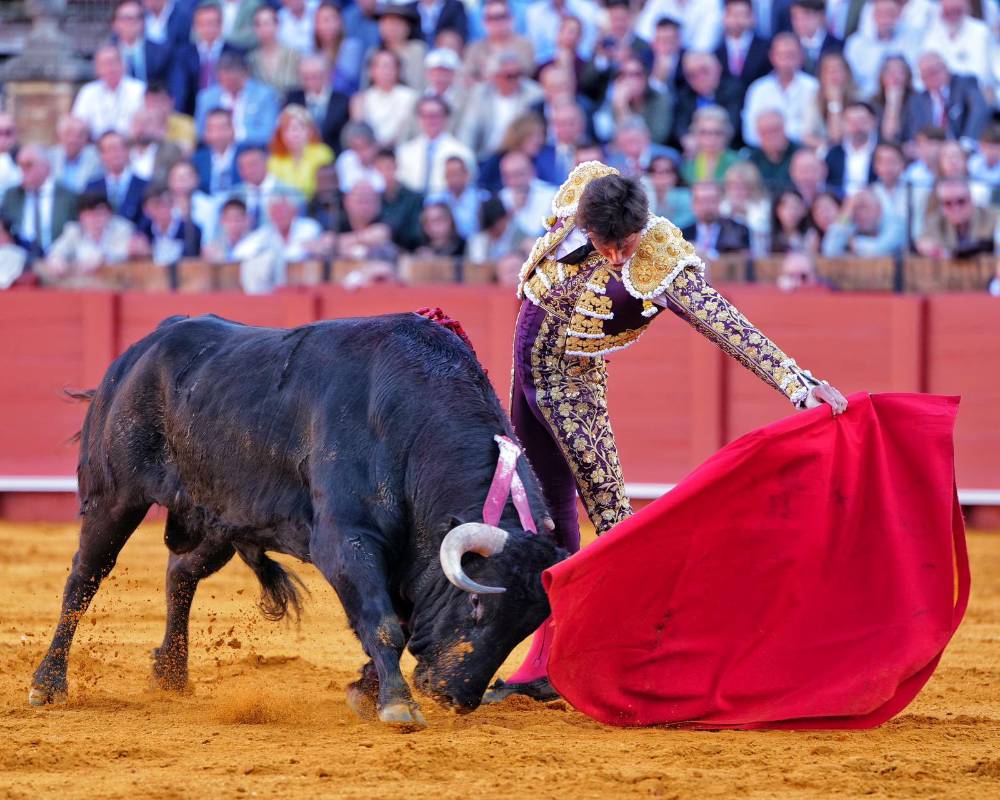 Imagen 28