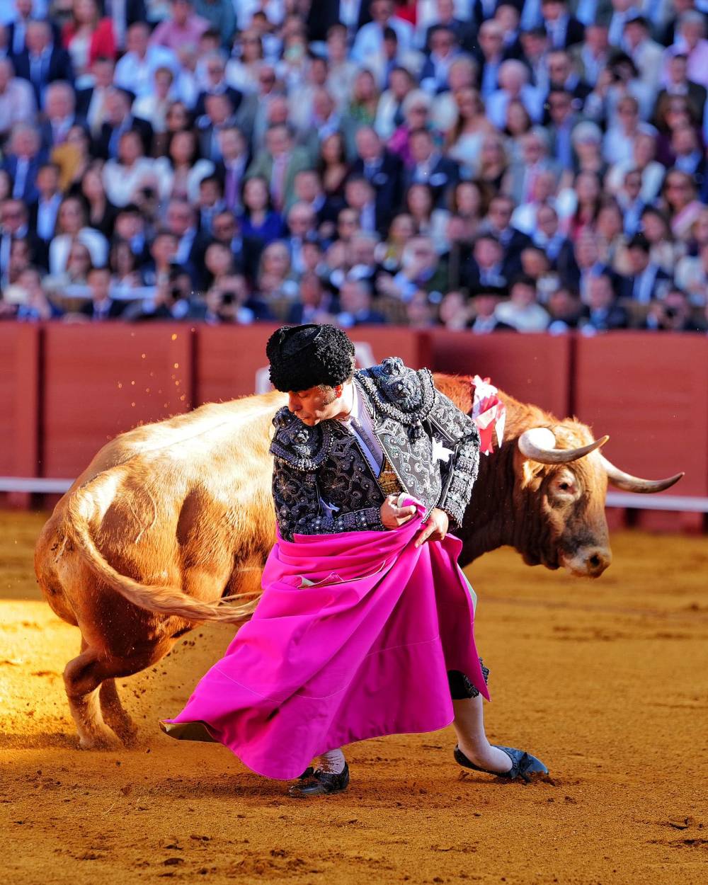 Imagen 33