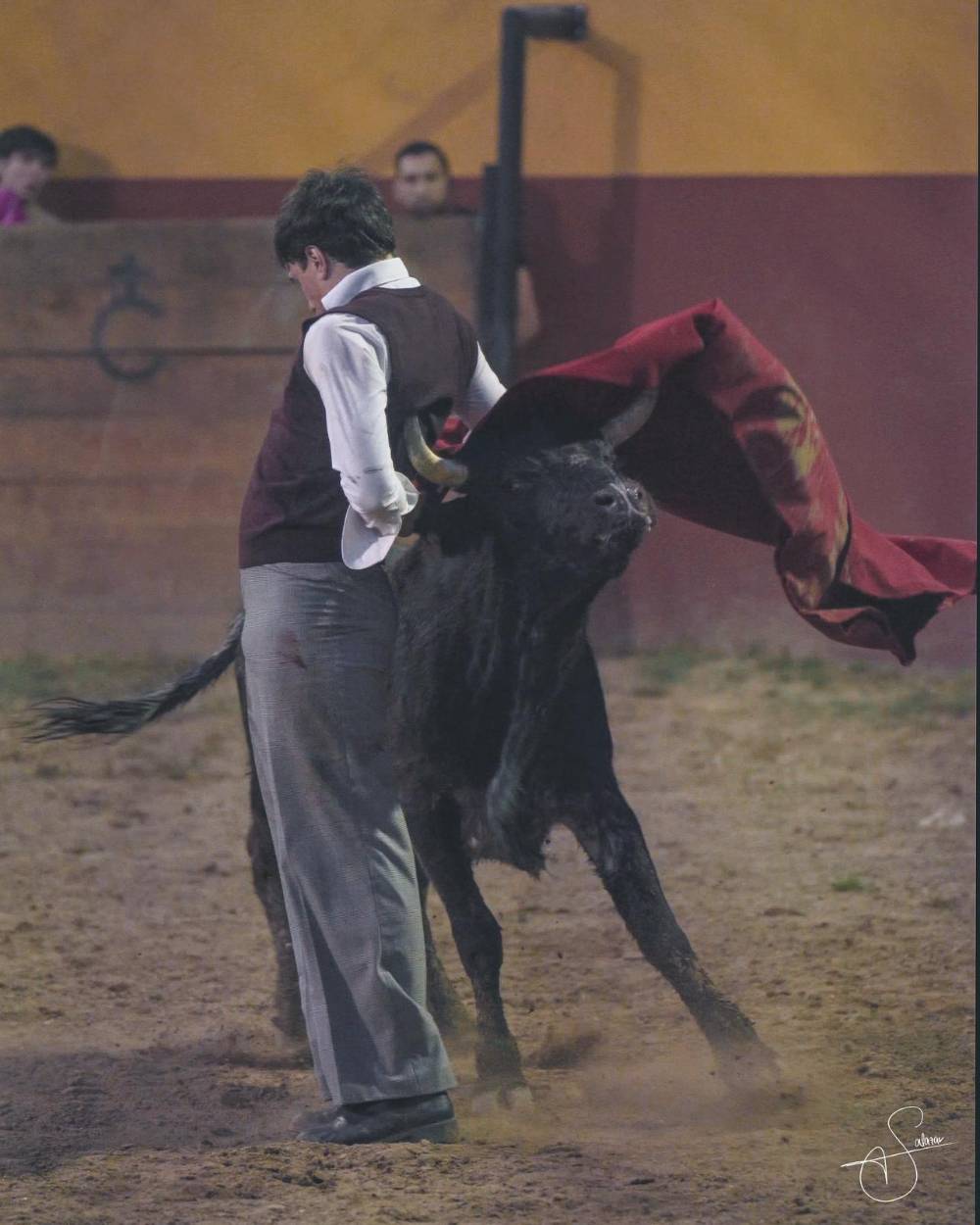 Imagen 2