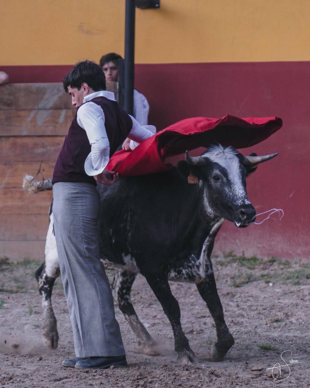 Imagen 3