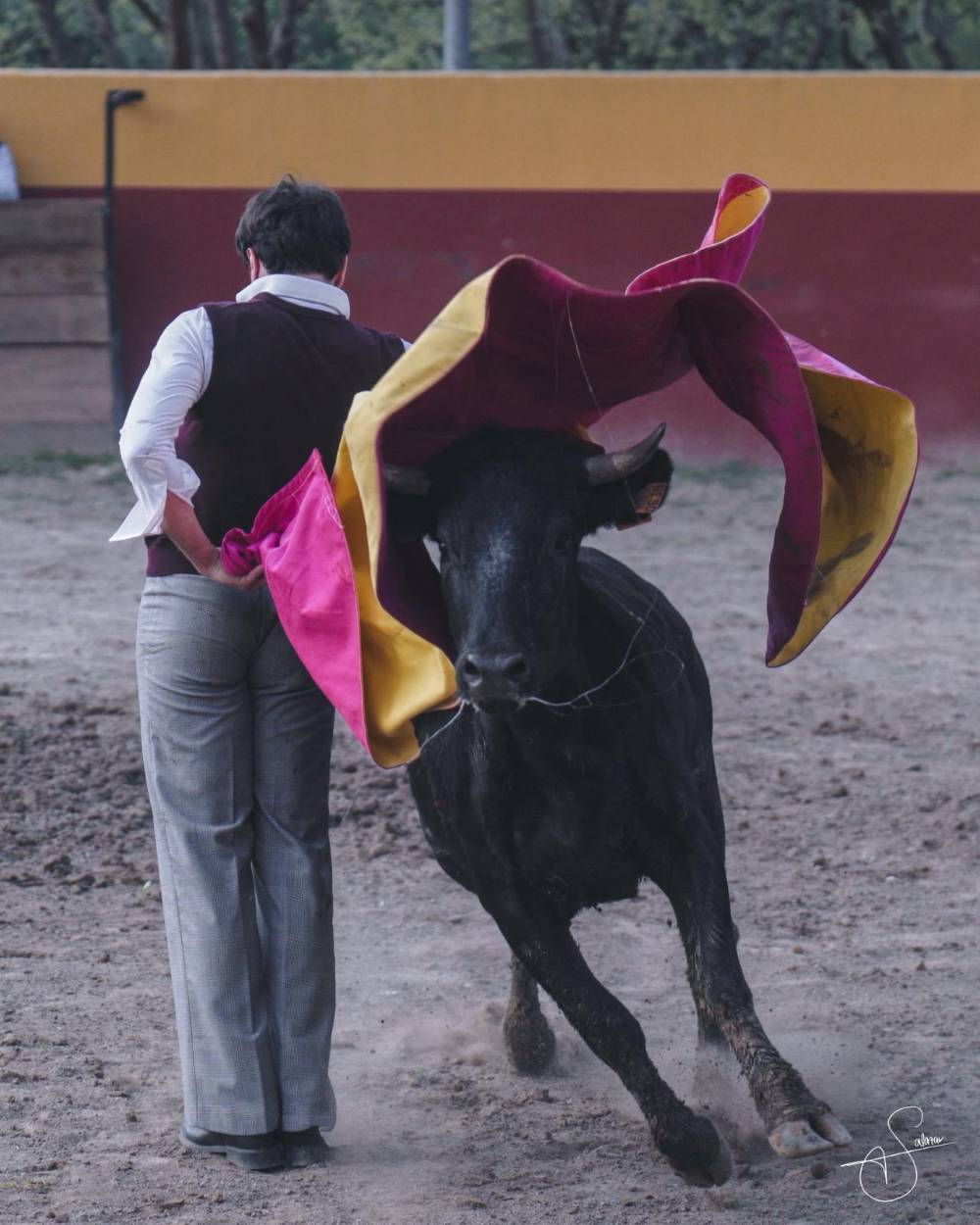 Imagen 4